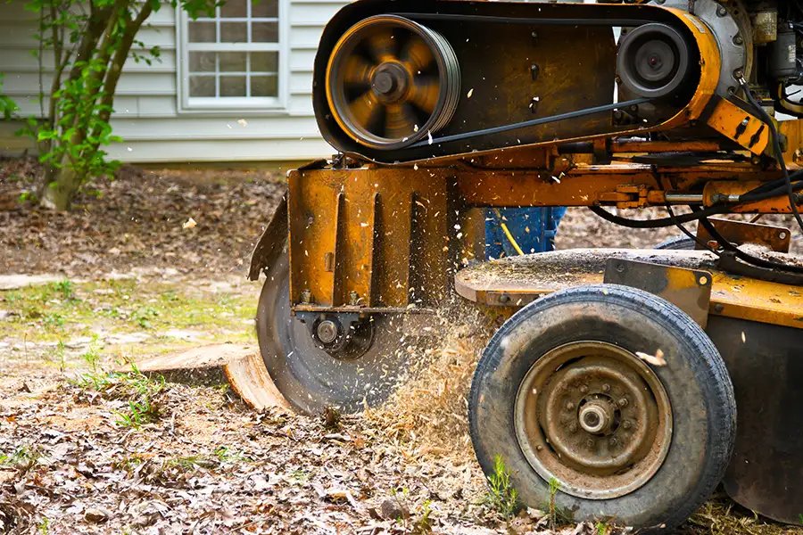Elite Tree Service - Professional Stump Grinding Services in Godfrey Illinois