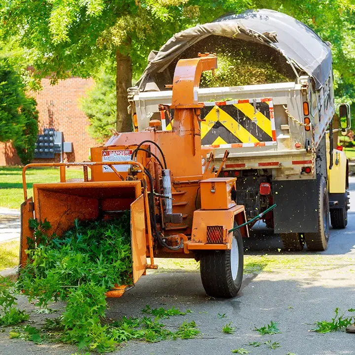 Elite Tree Service - Professional Brush Removal and chipping Services in Godfrey Illinois