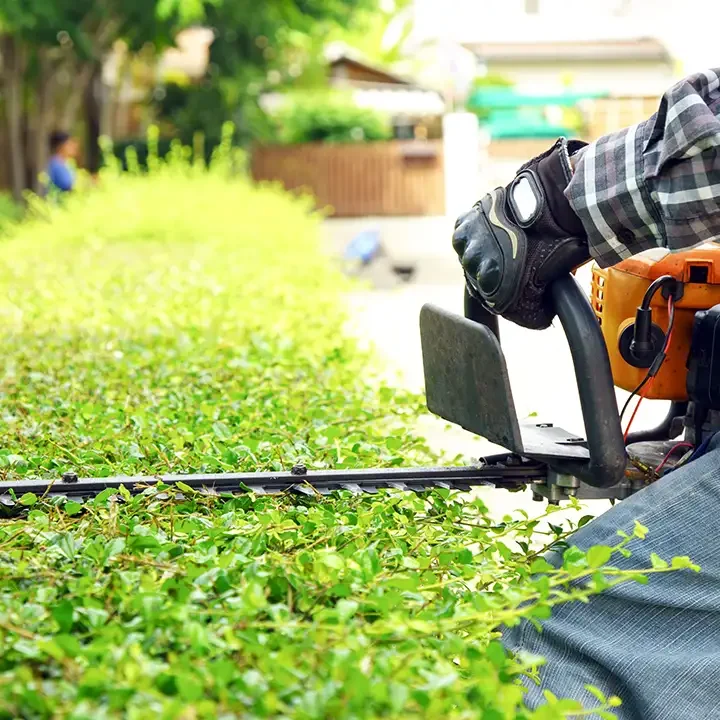 Elite Tree Service - Professional Hedge Trimming Services in Godfrey Illinois