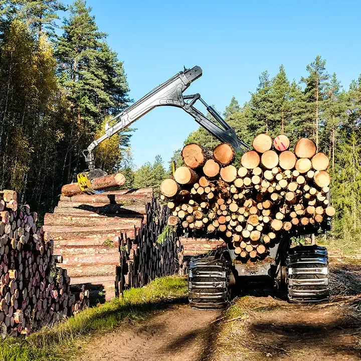 Elite Tree Service - Professional lot clearing and hauling Services in Godfrey Illinois